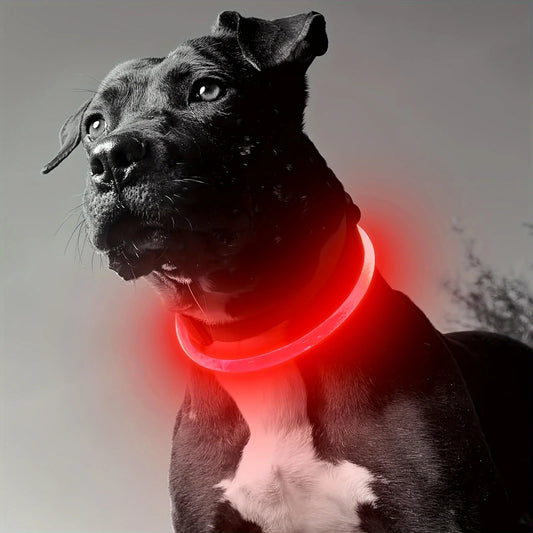 Dog LED Light Collar