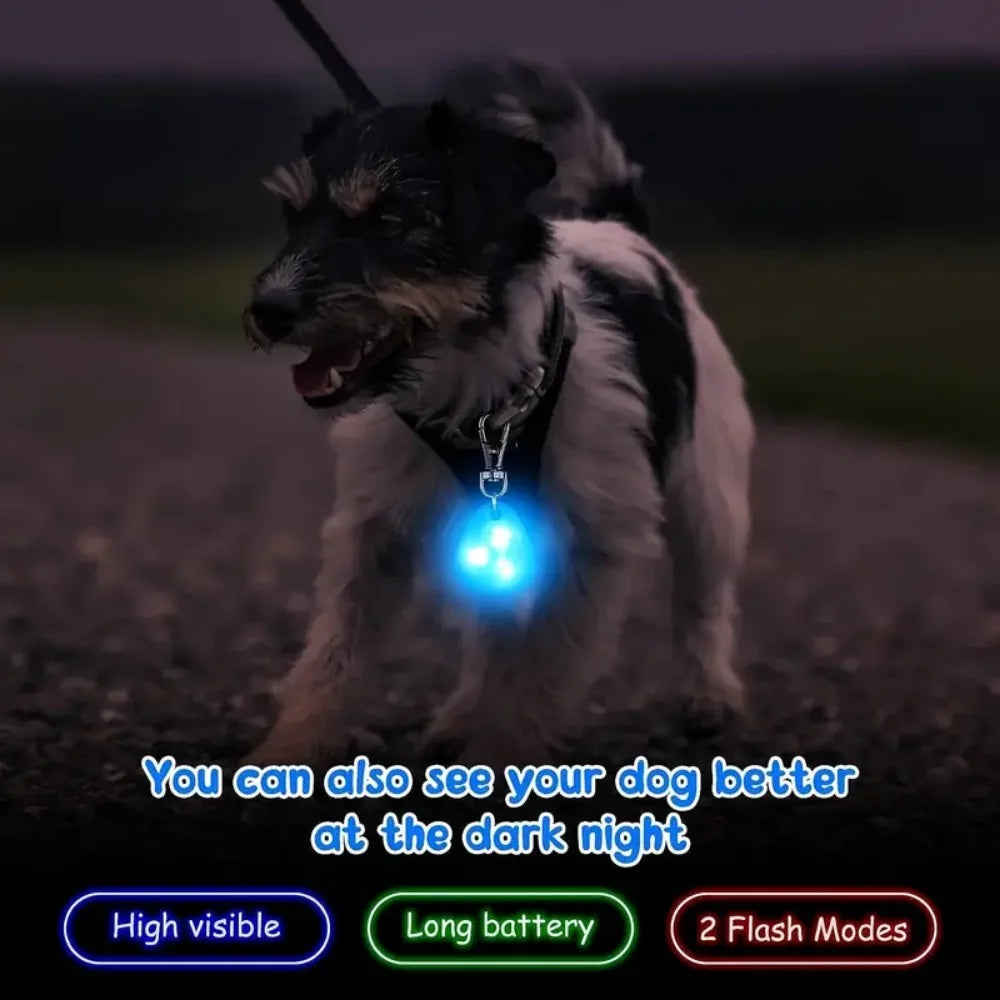 LED Dog Pendant Collar