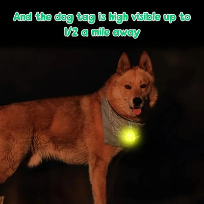 LED Dog Pendant Collar